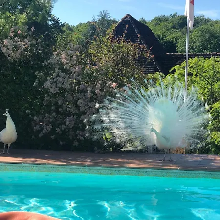 Bed & Breakfast Le Noyer 3*